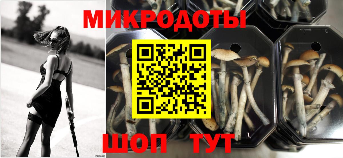 Псилоцибиновые грибы Cubensis  Вход с VPN  даркнет сайт  Фролово 